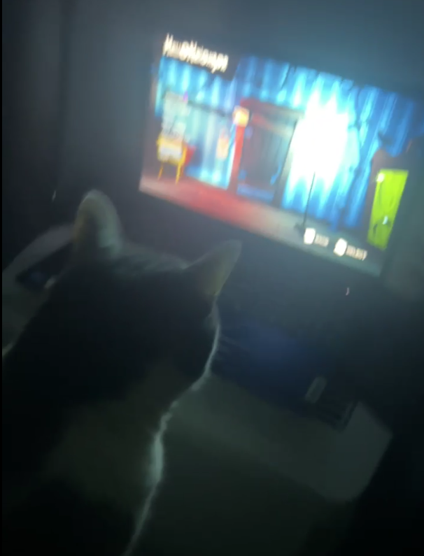 Tato: Hello Neighbor champion