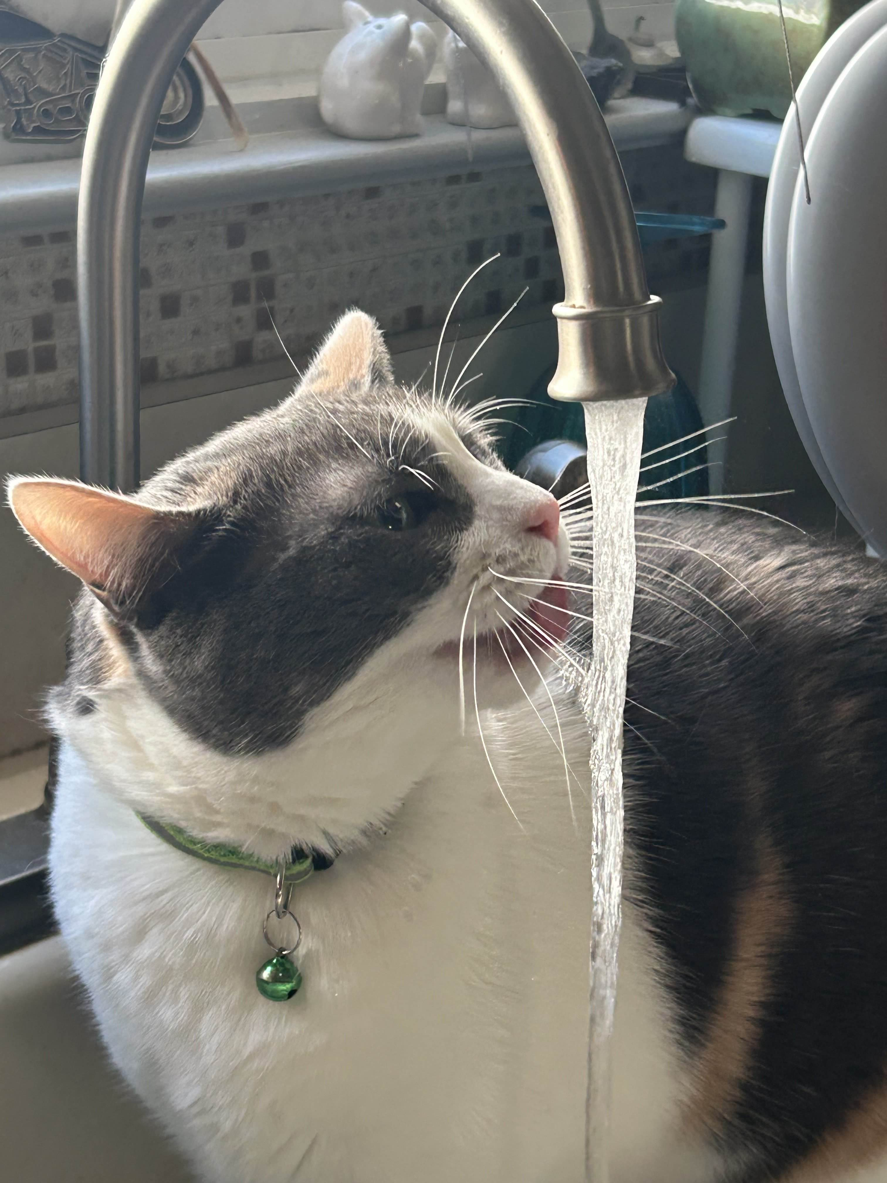 Tato: The water incident